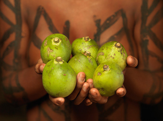 pequi-kraho-peter-caton-ispn