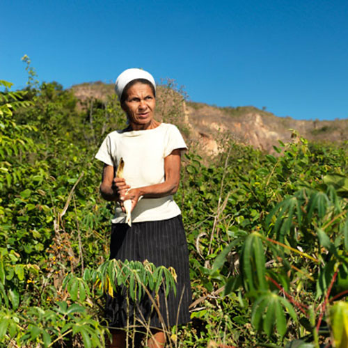 Agricultores familiares