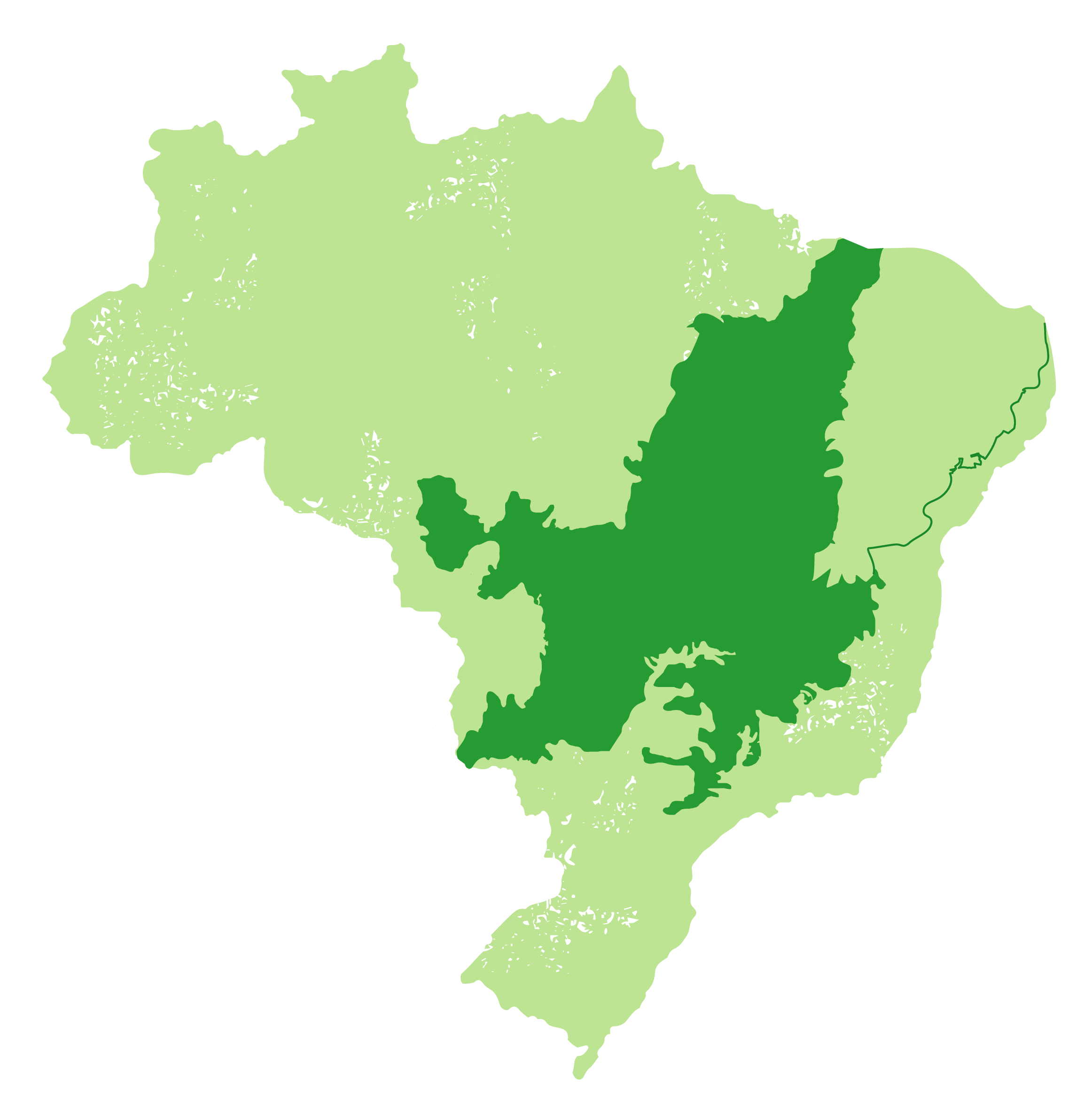 Cerrado - Cerratinga